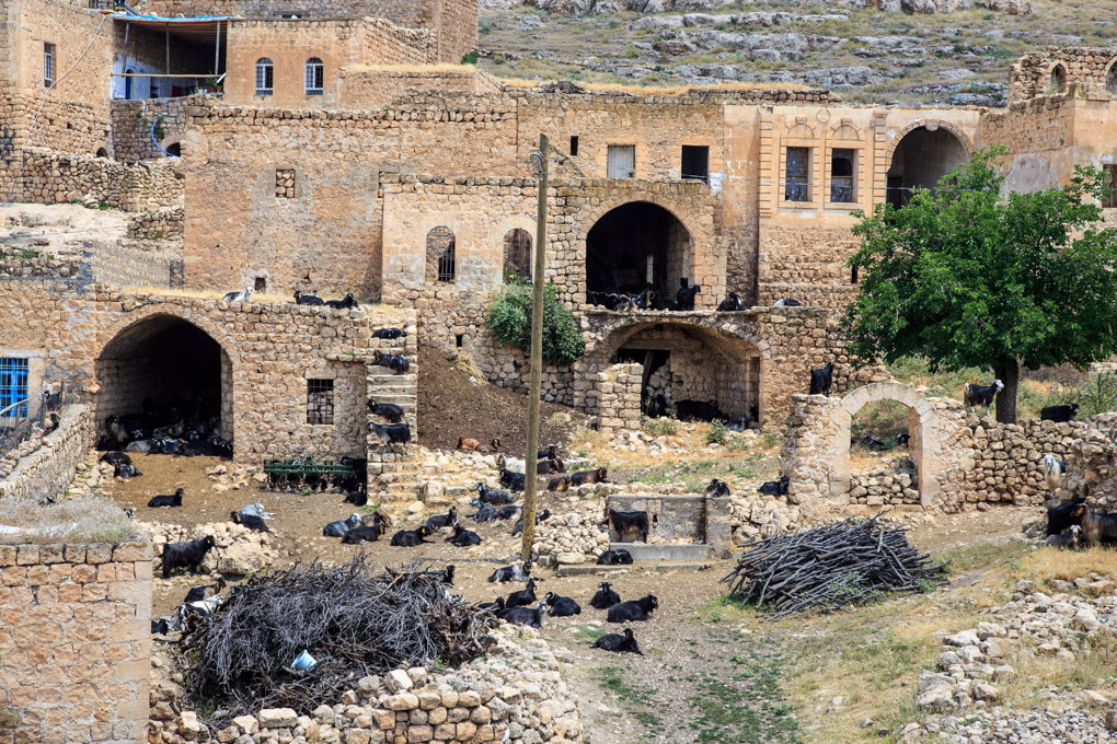 Dereiçi (Kellef)